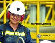 Fortuna Silver Mines Inc.