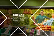 Brixmor Property Group Inc