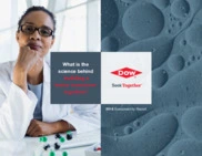The Dow Chemical Company