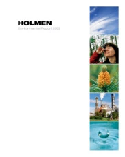 Holmen