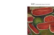 WPP Group plc