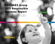 Budimex