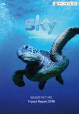 SKY PLC