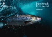 Benchmark Holdings plc