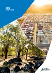 Cedar Woods Properties Limited