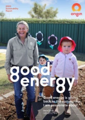 Origin Energy Ltd