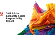 Adobe Systems Inc.