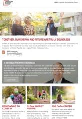 American Electric Power Company, Inc.