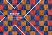 Brixmor Property Group Inc