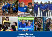 Goodyear Tire & Rubber Co.