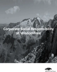 Wisdomtree Investment