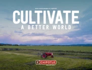 Chipotle Mexican Grill Inc.