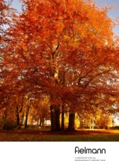 Fielmann AG
