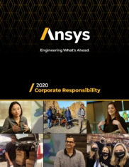 ANSYS Inc.