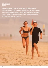 DuluxGroup Limited
